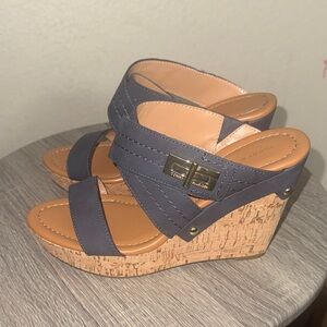 Tommy Hilfiger Navy and Tan Wedges